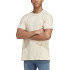 Camiseta adidas All Szn Hombre Beige
