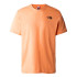 Camiseta de Montaña The North Face Redbox Hombre Naranja