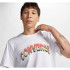 Camiseta Converse Grass Mirror Blanco Hombre