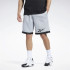 Pantalones Reebok Basketball Mesh Hombre Gris