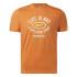 Camiseta Reebok Graphic Series Hombre Naranja