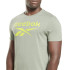 Camiseta Reebok Identity Big Logo Hombre