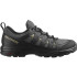 Zapatillas de Montaña Salomon X Braze Gore-Tex Gris Hombre