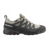 Zapatillas de Montaña Salomon X Ward Leather Gore-Tex Marrón Hombre