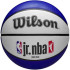 Pelota de Baloncesto Wilson Nba Drv Light Fam Logo