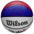 Pelota de Baloncesto Wilson Nba Drv Light Fam Logo