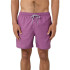 Bañador de Playa y Piscina Rip Curl Daily Volley Hombre morado