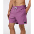 Bañador de Playa y Piscina Rip Curl Daily Volley Hombre morado