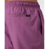 Bañador de Playa y Piscina Rip Curl Daily Volley Hombre morado