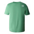 Camiseta de Montaña The North Face Easy Verde Hombre
