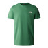 Camiseta de Montaña The North Face Simple Dome Verde Hombre