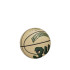 Balones de Baloncesto Wilson Nba Player Icon Mini Giannis Gre