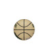 Balones de Baloncesto Wilson Nba Player Icon Mini Giannis Gre