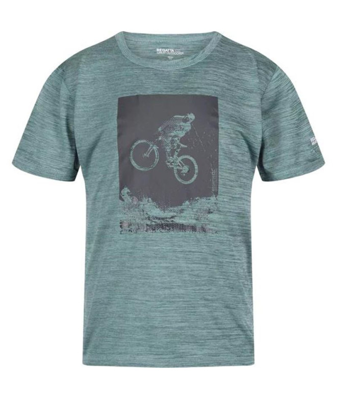 Camiseta de Montaña Regatta Alvarado VII...
