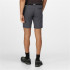 Pantalones de Montaña Regatta Xert StrShort III Hombre
