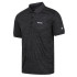 Polo de Montaña Regatta Remex II Ash Hombre