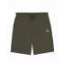 Pantalones Dickies Mapleton Militar Hombre
