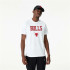 Camiseta New Era NBA Chicago Bulls Blanco Hombre