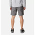 Pantalones de Trail Columbia Silver Ridge™ Utility Cargo Gris Hombre