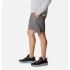 Pantalones de Trail Columbia Silver Ridge™ Utility Cargo Gris Hombre
