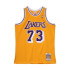 Camiseta de Baloncesto Mitchell & Ness Los Angeles Lakers - dennis Rodman