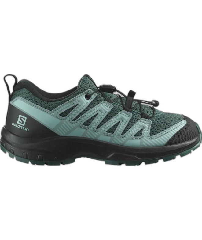 Zapatillas de Montaña Salomon XA Pro V8...