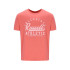 Camiseta Russell Amt A30211 Hombre