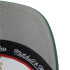Gorra Mitchell & Ness Milwaukee Bucks Verde