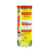 Pelotas de Tenis Wilson Championship XD