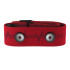Sensor de frecuencia cardiaca Polar H10 Rojo