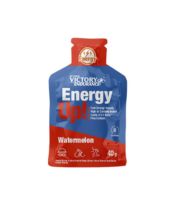 Gel Victory Endurance Energy Up Sandia