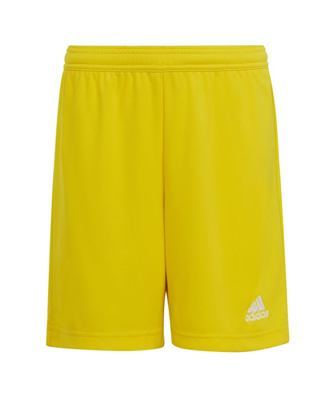 Pantalones de Fútbol adidas Ent22 Y Infantil
