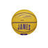 Pelota de Baloncesto Wilson Nba Player Icon Mini Lebron