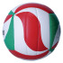 Balón de Voleibol Molten V4M1300