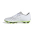 Botas de Fútbol adidas Predator Accuracy.4 Fxg Infantil