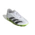 Botas de Fútbol adidas Predator Accuracy.4 Fxg Infantil