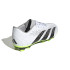 Botas de Fútbol adidas Predator Accuracy.4 Fxg Infantil