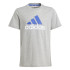 Camiseta adidas Essentials Big Logo l 2 Infantil