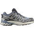 Zapatillas de Trail Salomon XA Pro 3D V9 Gore Tex Flint Stone/Black/Gray Hombre