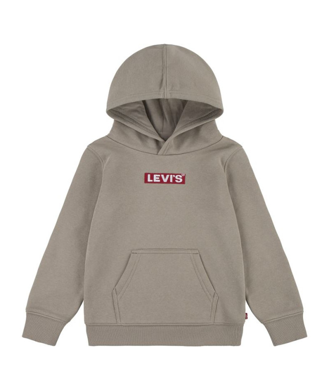 Sudadera Levi's Boxtab Hoodie Rusty Aluminum Niño