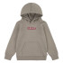 Sudadera Levi's Boxtab Hoodie Rusty Aluminum Niño
