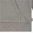 Sudadera Levi's Boxtab Hoodie Rusty Aluminum Niño