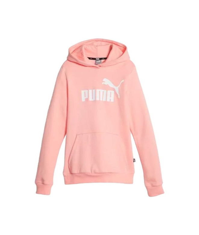 Sudadera de Puma Ess Logo Fl G