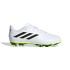 Botas de Fútbol adidas Copa Pure.4 Fxg Infantil