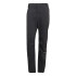 Pantalones de Senderismo adidas Mtovent Hombre