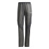 Pantalones de Montaña adidas Xpr Lt Rain P Mujer