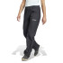 Pantalones de Montaña adidas Mt Rain Mujer