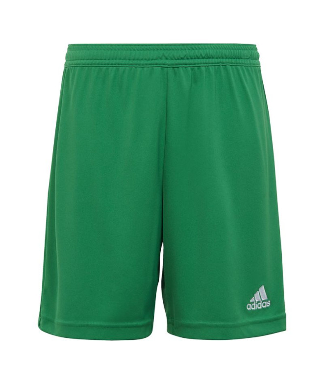 Pantalones de Fútbol adidas Ent22 Y Infantil