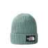 Gorro de Montaña The North Face Logo Box Cuffed Green