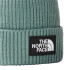 Gorro de Montaña The North Face Logo Box Cuffed Green